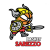 Basket Sarezzo