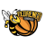 logo Visconti Basket